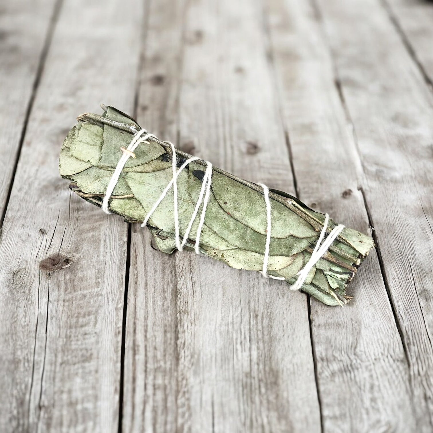 Eucalyptus Smudging Stick- Includes Ritual Instruction Card