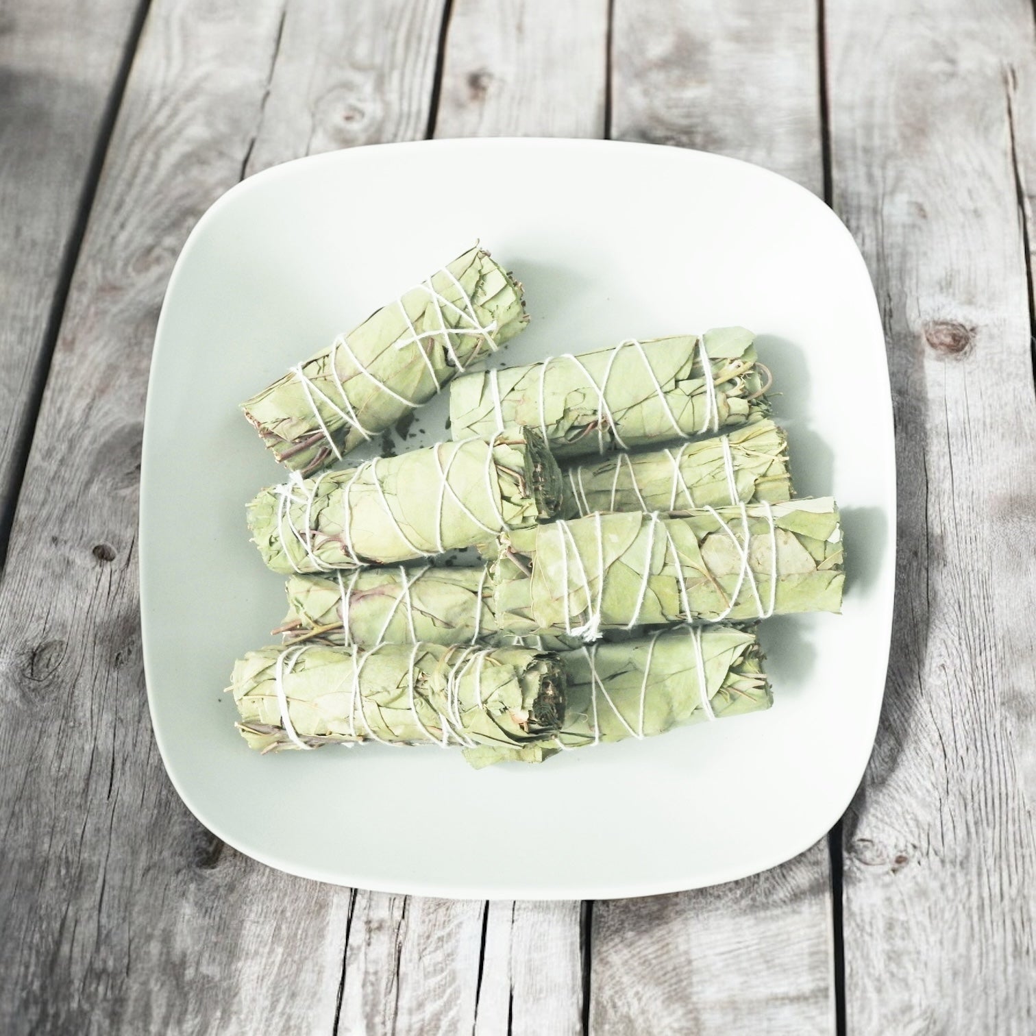 Eucalyptus Smudging Stick- Includes Ritual Instruction Card