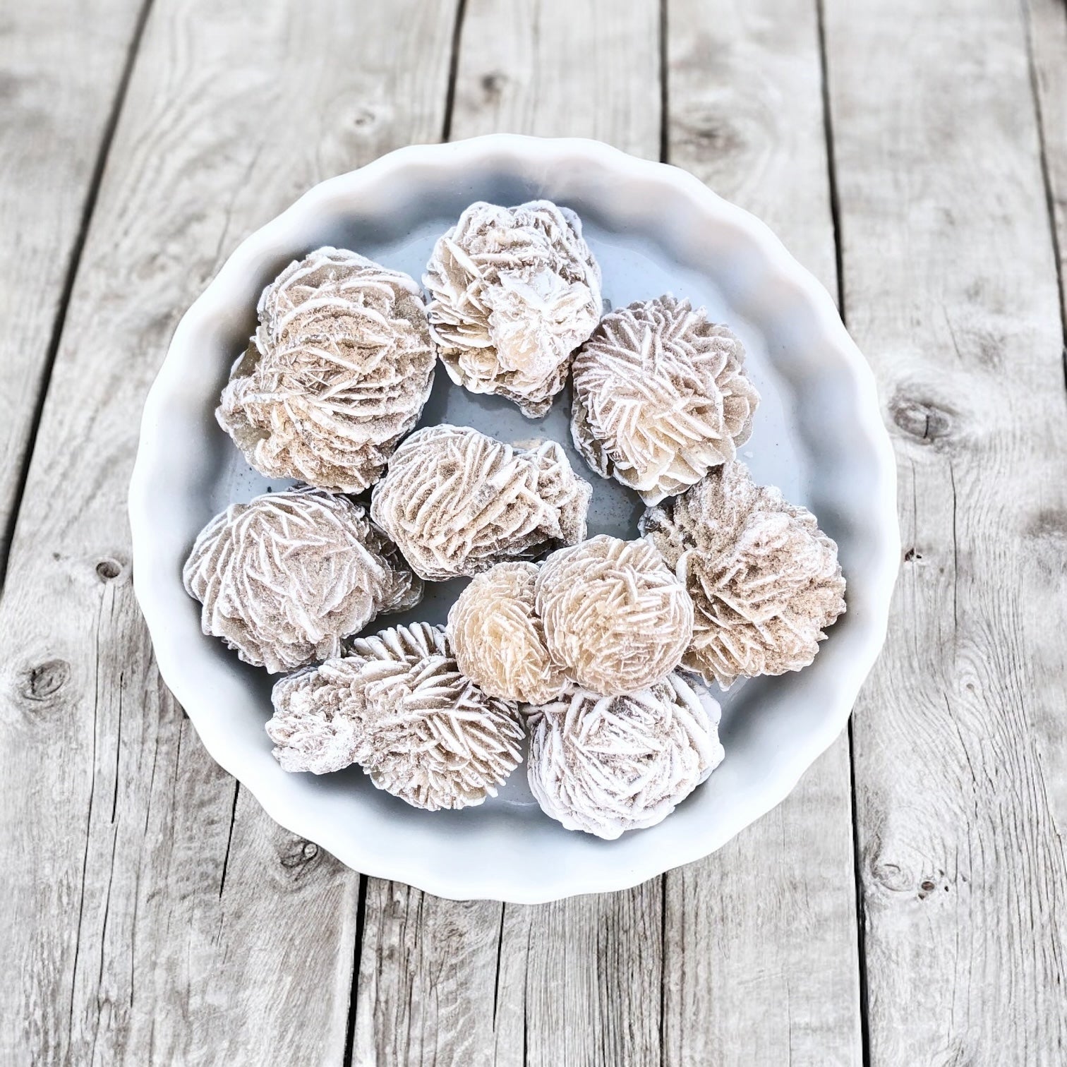 Dessert Rose Selenite with Card- The Navigation Stone