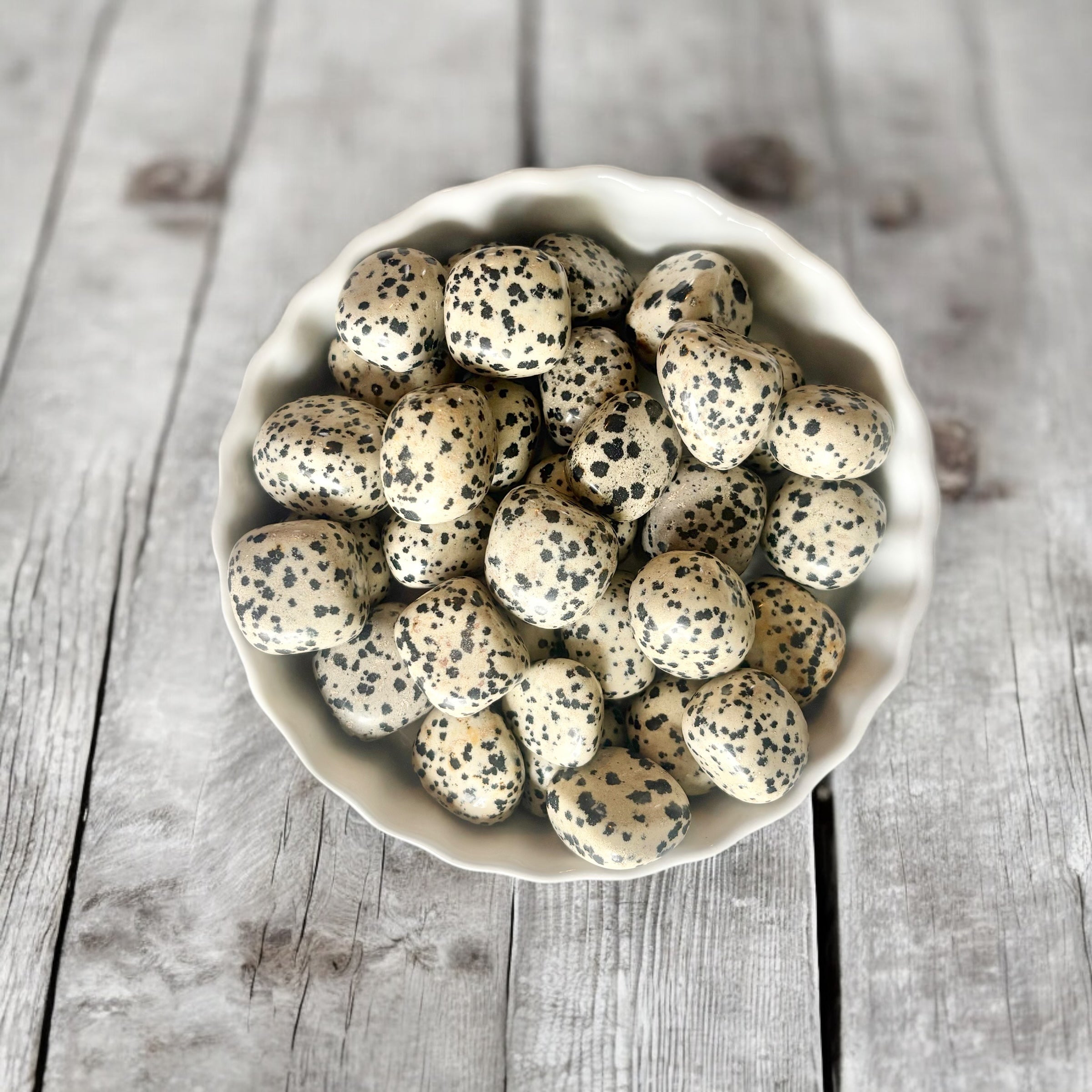 Dalmatian Jasper Tumbled Stones with Card- Stone of Optimism & Releasing Family Patterns