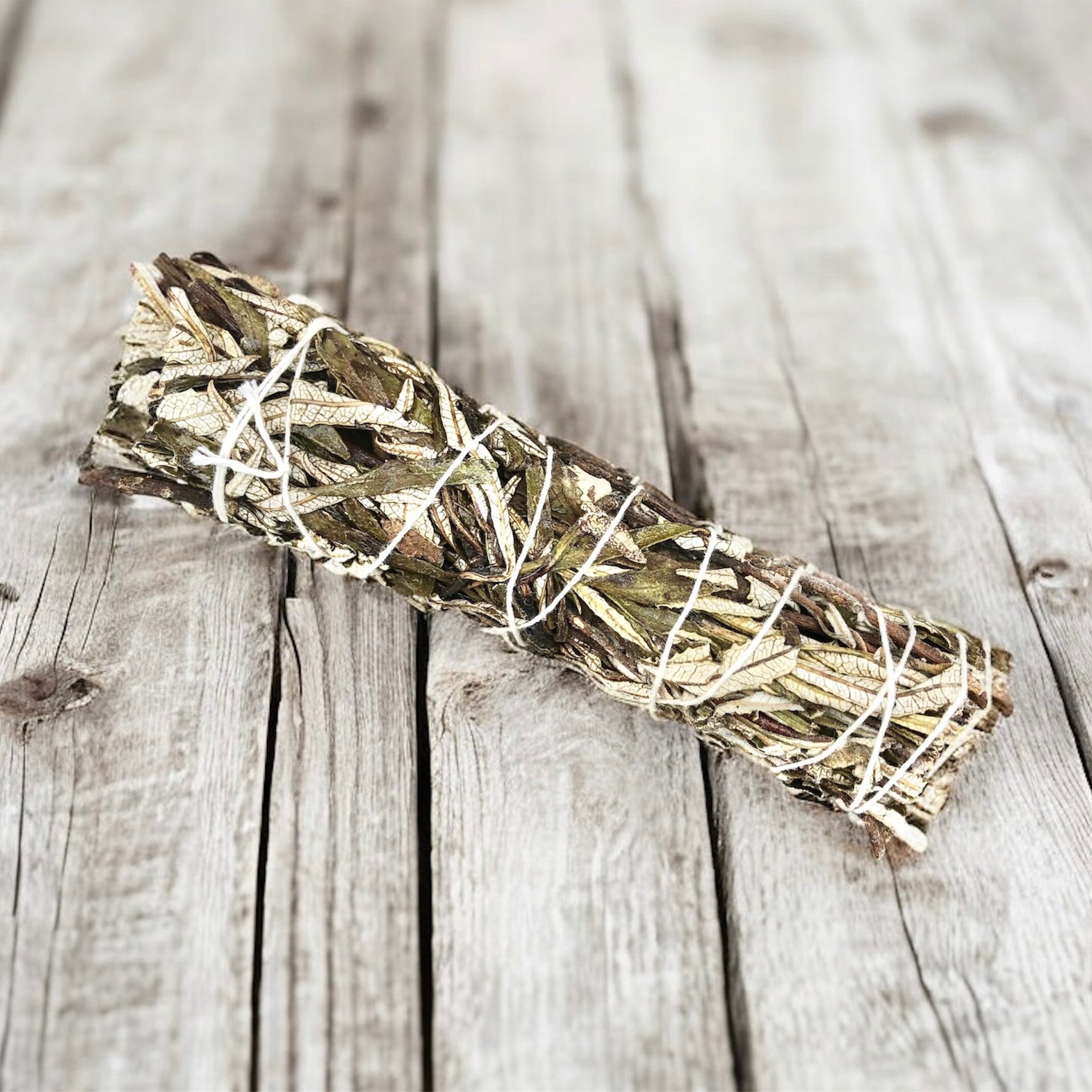 Yerba Santa Sage Smudging Stick- Includes Ritual Instruction Card