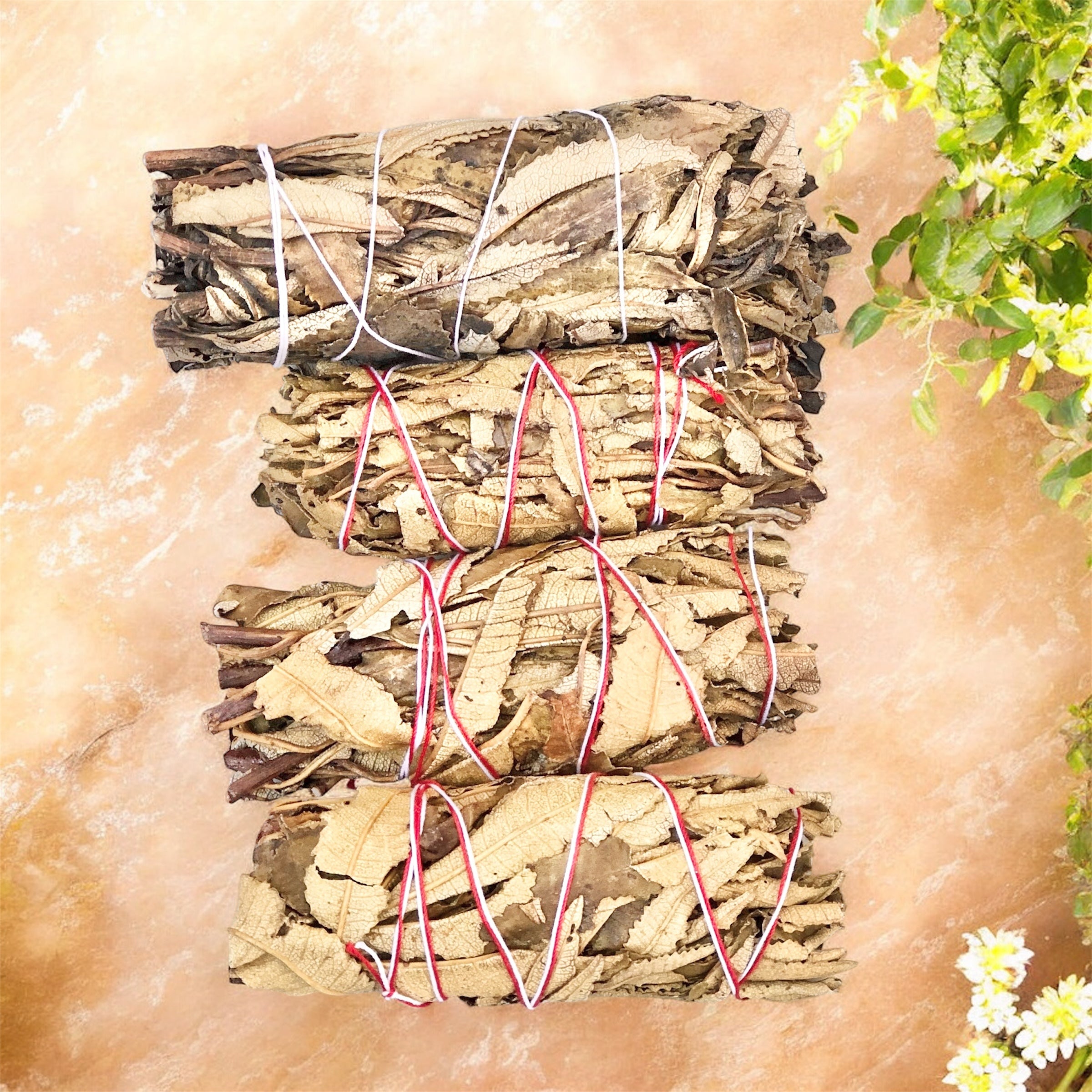 Yerba Santa Sage Smudging Stick- Includes Ritual Instruction Card