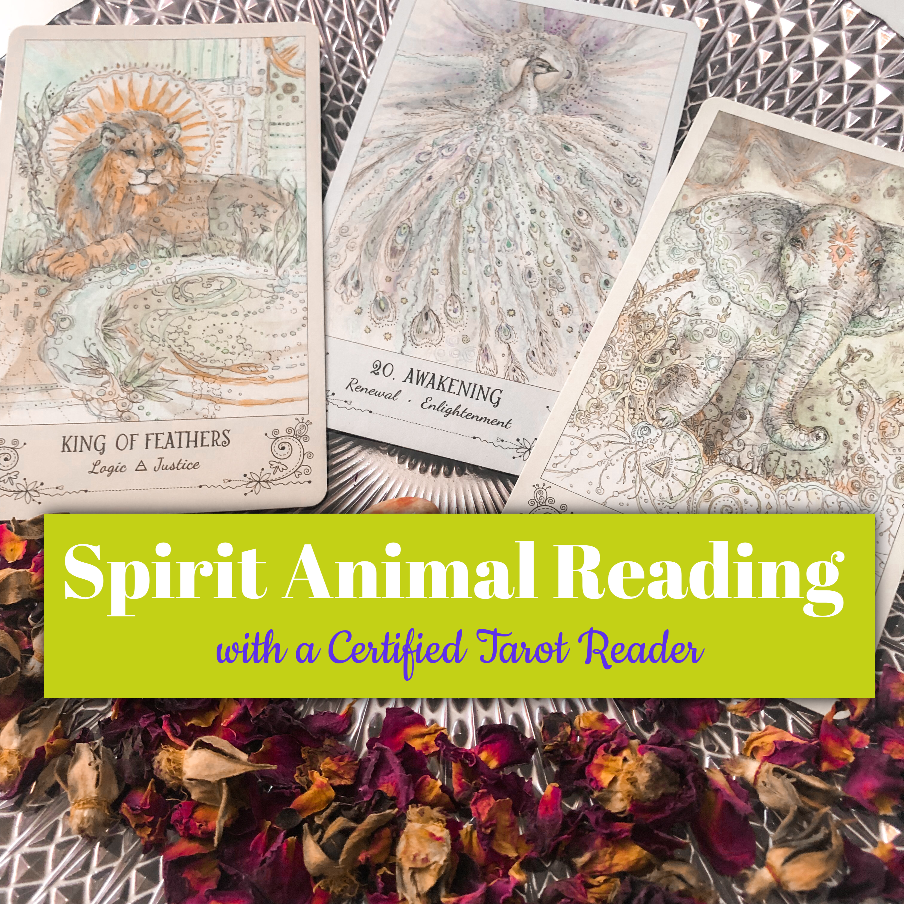 Spirit Animal Tarot Reading- Emailed Tarot Reading - Mindful Intentions
