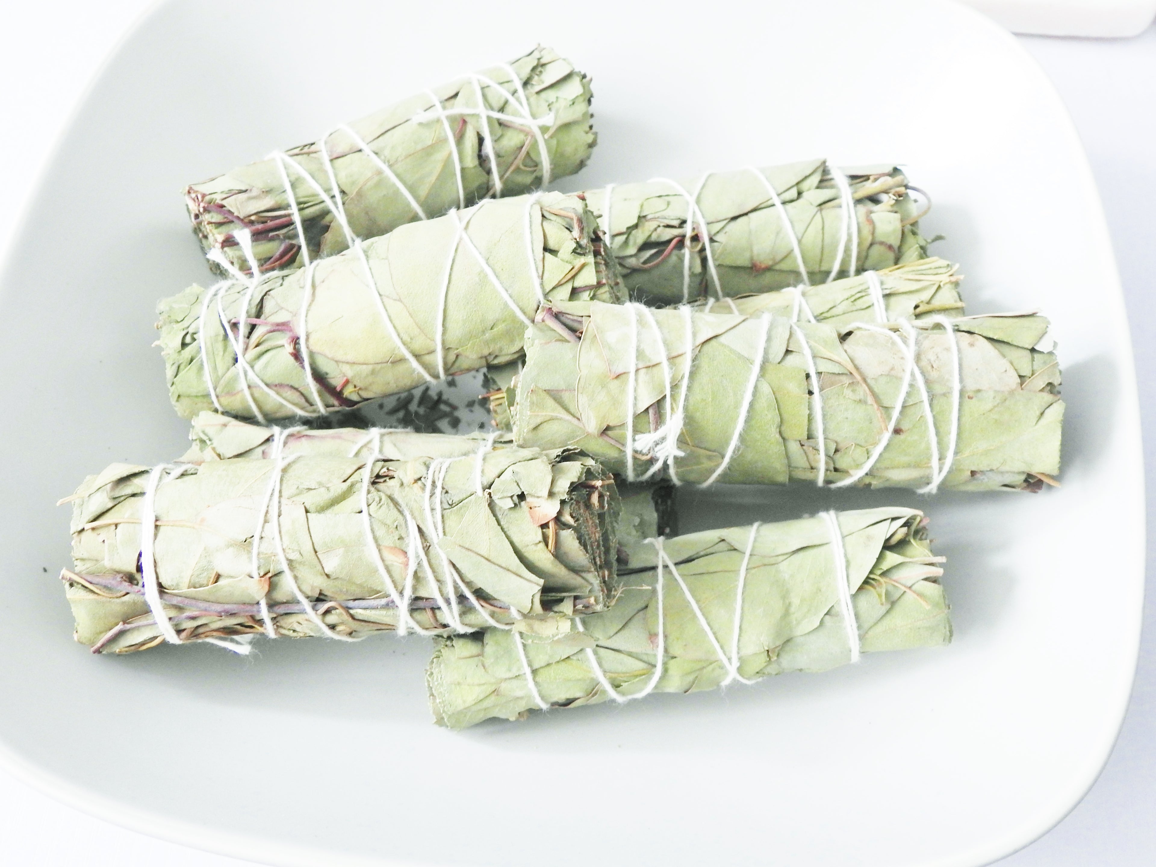 Eucalyptus Smudging Stick- Includes Ritual Instruction Card - Mindful Intentions
