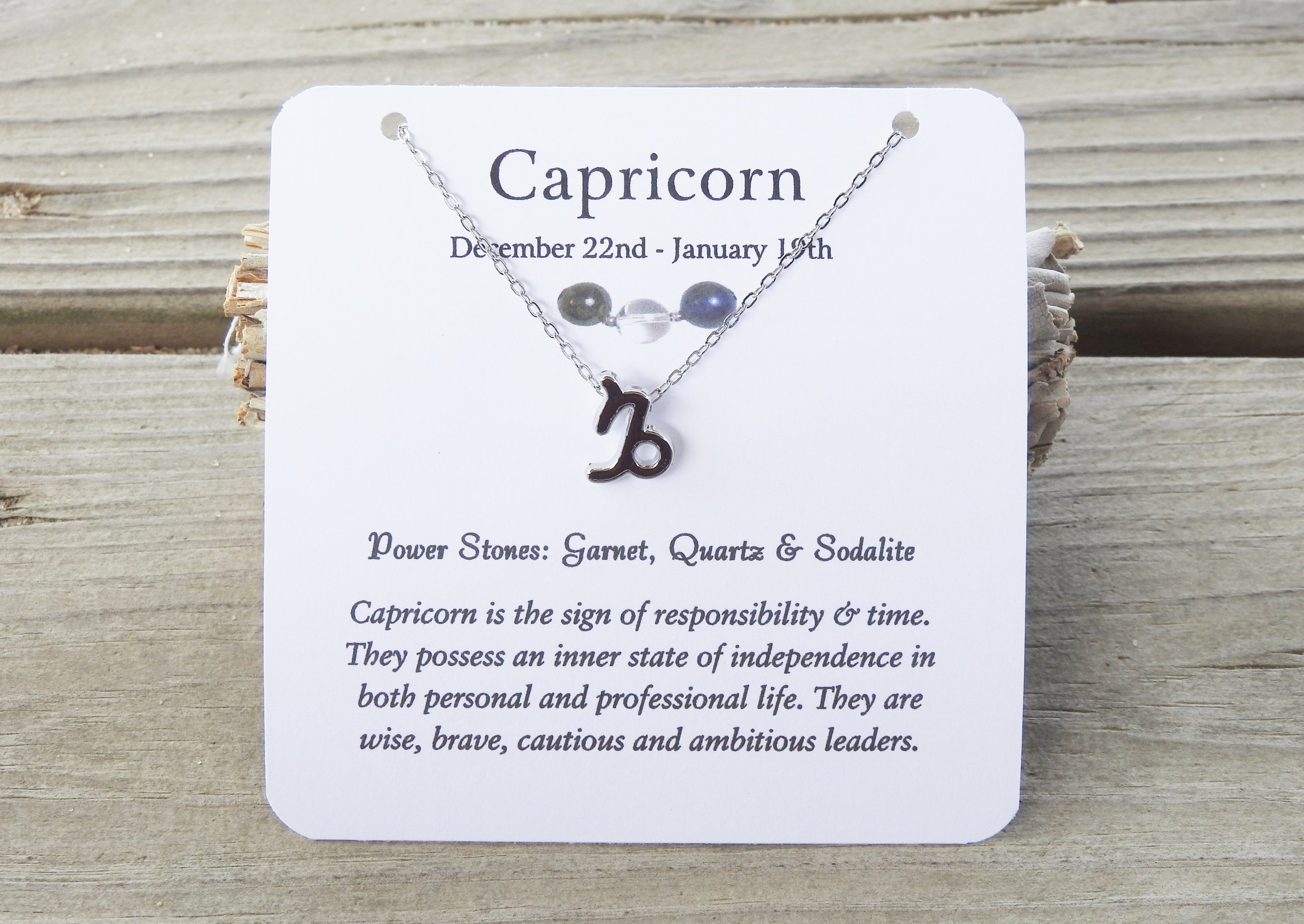 Capricorn Zodiac Necklace - Mindful Intentions