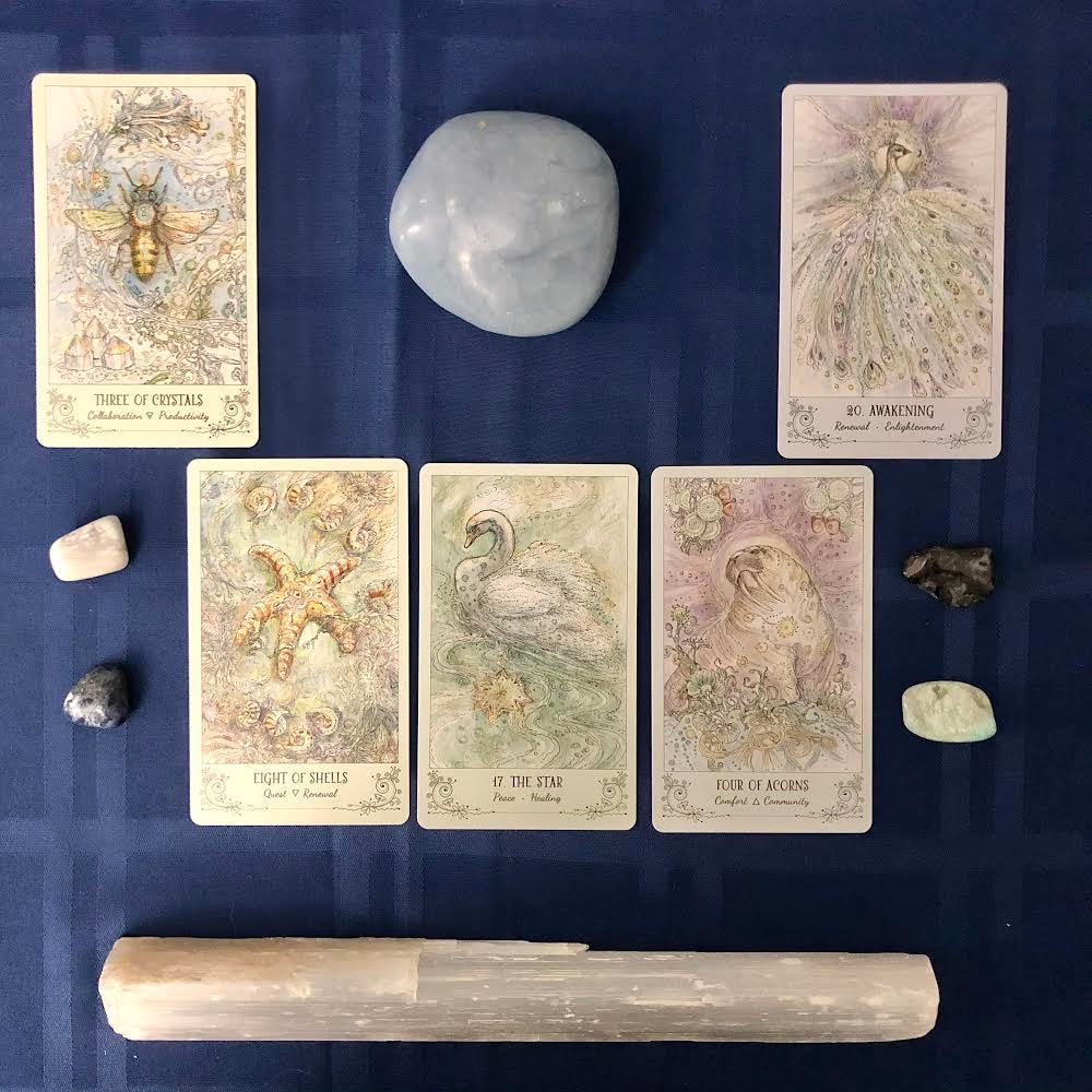Spirit Animal Tarot Reading- Emailed Tarot Reading - Mindful Intentions