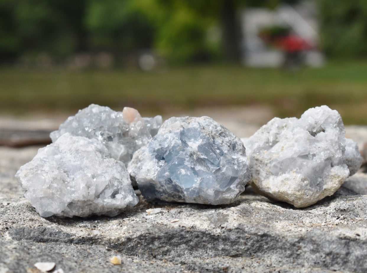 Celestite Crystal Geode- Stone of Serendipity and Divine Connection - Mindful Intentions