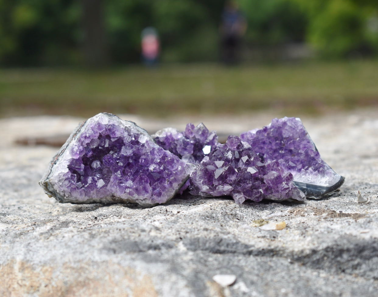 Raw Amethyst Crystal- Stone of Intuition, Protection, & Sleep - Mindful Intentions